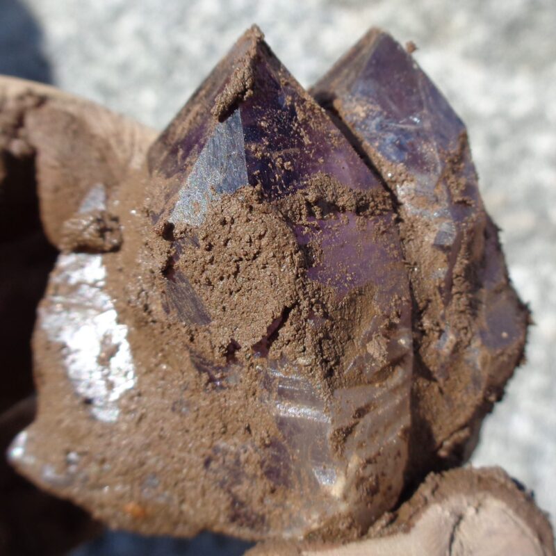 Amethyst / Zepterquarz